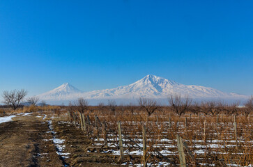 Greater Ararat and Little Ararat scenic view from Vosketap vineyards in winter  