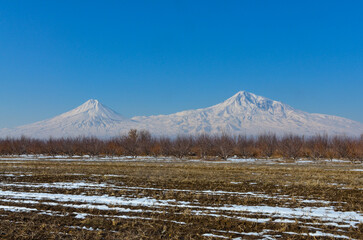 snow covered Mount Ararat scenic view from Ararat valley in winter  