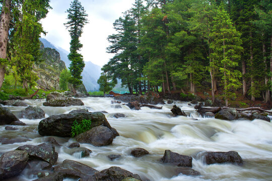 Rushing Waters of Liddar River Flowing Through Betaab Valley in Pahalgam, Kashmir, India - Scenic Forest Landscape with Pine Trees and Rocky Terrain in the Himalayan Foothills