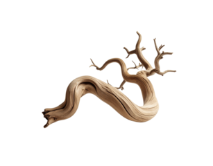 Intricate Light Brown Driftwood Piece with Swirling Branches and Knotted Texture.