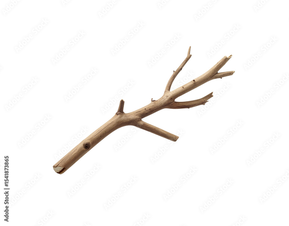 Poster light brown dried tree branch with irregular texture and threepronged end.