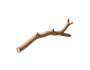 Light Brown Wooden Branch with Knots and Texture Isolated.