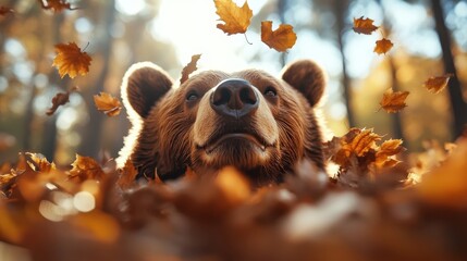 This image captures a bear gazing thoughtfully while surrounded by vibrant autumn leaves, embodying themes of nature, reflection, and the changing seasons in a serene setting.