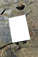 Mockup of white A4 sheet with shadows on stone texture with moss. Mockup of a poster on a stone background. White blank with space for text or design