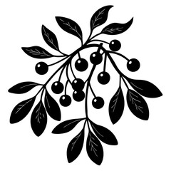 branch with olives