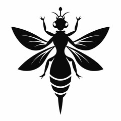 dragonfly vector illustration