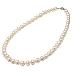 Elegant Pearl Necklace Jewelry Accessory Isolated on Transparent Background