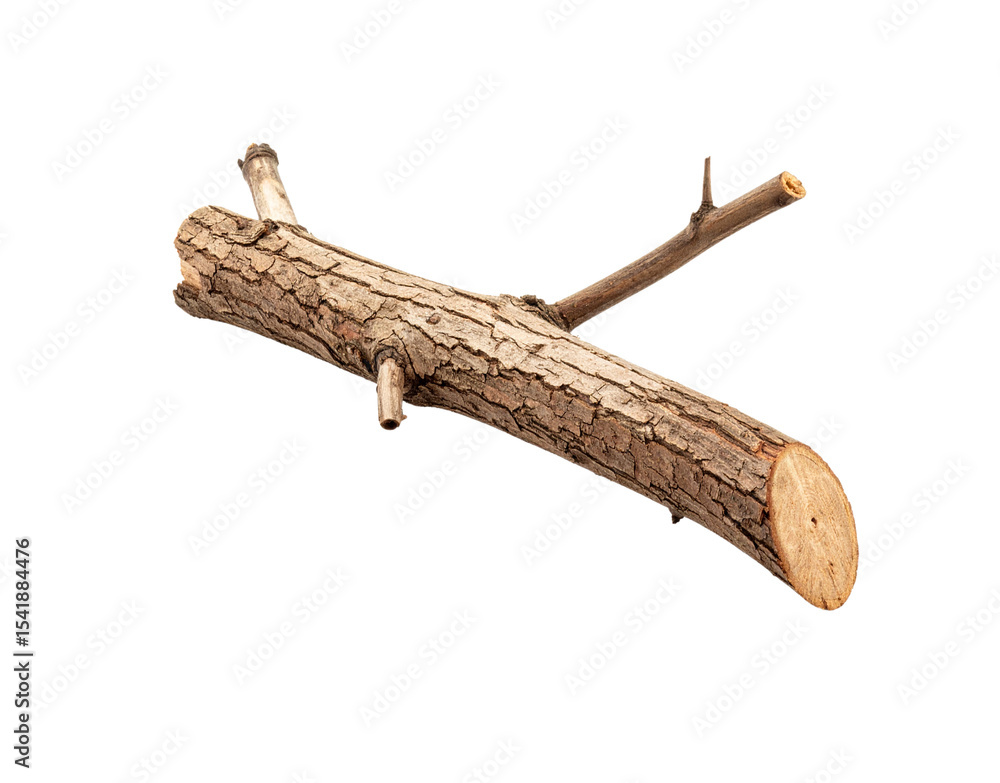 Poster rustic brown tree branch with knots and rough bark texture.