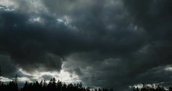 Murmuring pines beneath racing brooding clouds lit sporadically by a hidden sun creating a dramatic 4K time lapse of shifting light and shadow across silhouetted conifers