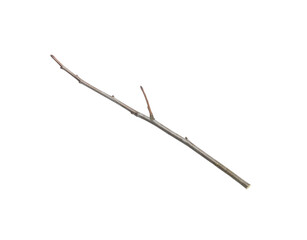 Slender GreyBrown Twig with Small Branch Isolated.