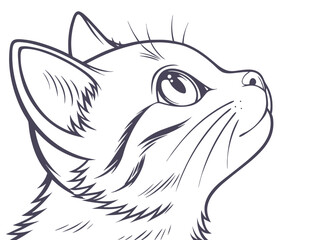 Cat face. Drawn cat head. Vector illustration