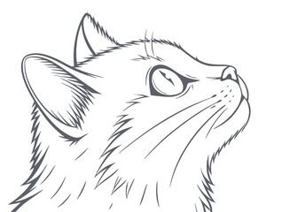 Cat face. Drawn cat head. Vector illustration