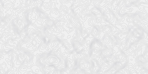 white and grey smooth topography gurve wave out line creativity grid pattern design web banner modern wave white background. 