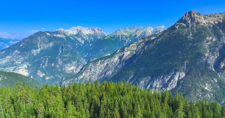 AERIAL: Lush pine forest with towering alpine peaks under a cloudless blue sky. Scenic and rugged...