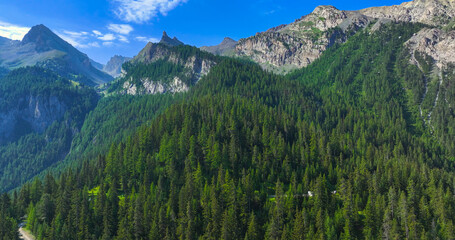 AERIAL: Dramatic landscape with steep alpine slopes covered in a dense forest of evergreen trees....