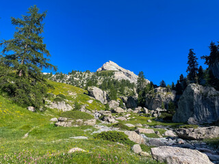 Large boulders and trees scattered in a green, rocky alpine landscape under a clear blue sky....