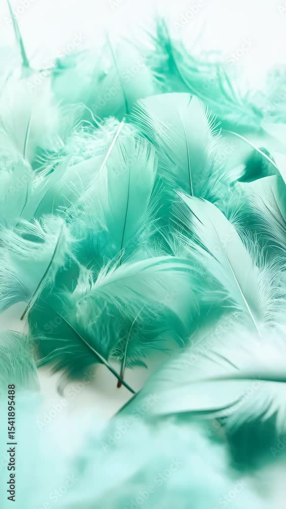 Poster close-up macro of light teal feathers filling the frame, soft focus abstract background texture with