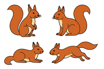 Red squirrel in various poses and actions on a transparent background