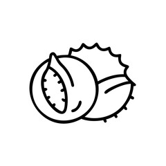 Line Art Illustration of a Peeled Chestnut Inside its Spiky Bur Shell Autumn Harvest Handmade Design Element
