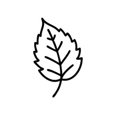 Single Black Outline Drawing of a Leaf with Jagged Edges and Veins Handmade Autumn Illustration Botanical Nature Graphic Design Element
