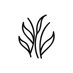 Black Line Drawing Simple Leaf Plant Botanical Illustration Handmade Autumn Design Element