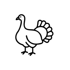 Simple Line Drawing of a Turkey Bird Black and White Handmade Autumn Illustration Thanksgiving Icon