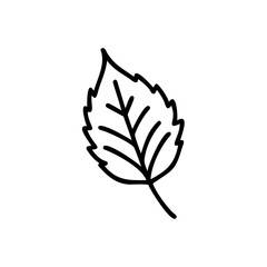 Single Black Outline Drawing of an Autumn Leaf Simple Handmade Style Illustration Botanical Nature Element
