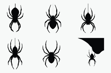 Spider hanging silhouette set, halloween web vector, creepy insect icon, Silhouette of a spider hanging from a web, halloween vector 