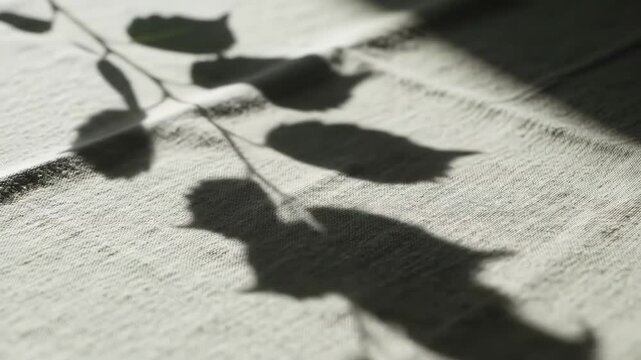 Leaves casting soft shadows on a fabric-draped table