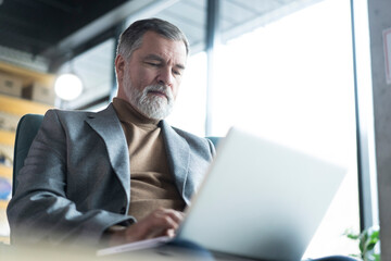 Fototapeta na wymiar Businessman sitting in office working with laptop computer