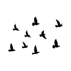 silhouette of a flock of birds vector illustration on a white background.