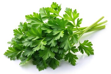 Fresh green parsley sprig isolated on white background culinary herb