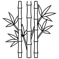 Fototapeta premium Black and White Bamboo Line Drawing Vector