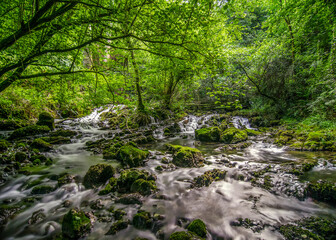Obraz premium Refreshing stream flowing through mossy rocks in green forest