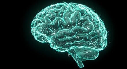 Human Brain Neural Network