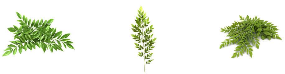 A set of High-quality PNG image of fresh curry leaves with a transparent background for culinary or design use.
