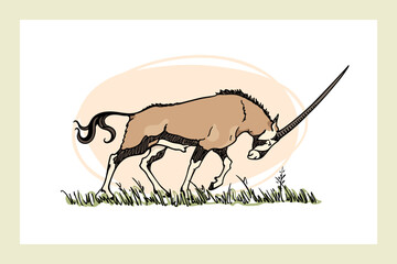 Vector card with hand drawn graceful oryx with its head down, walking through savannah. Ink drawing, graphic style. Beautiful wild animal illustration