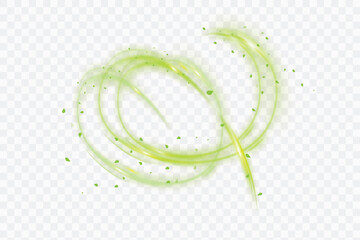 Bright green swirl with twisted leaves on transparent background. Vector effect on the topic: healthcare, ecology, medicine and sustainable development.