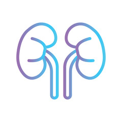 Human Kidneys Color gradient illustration vector icon which can easily modify or edit 
