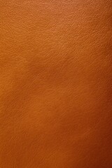 Macro top-down view of a light brown leather surface with fine natural-looking grain and subtle creases. The smooth yet slightly textured material reflects soft ambient light