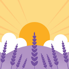 Abstract illustration of lavender field at sunrise with sun and cloud elements
