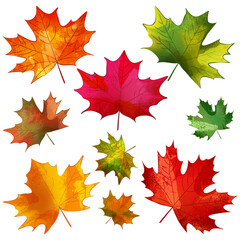 Autumn colorful maple leaves set. Vector watercolor illustration. Fall seasonal vintage print floral design elements