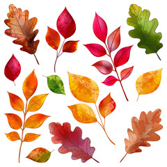 Autumn colorful oak, beech, ash leaves set. Vector watercolor illustration. Fall seasonal print floral design elements