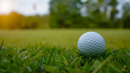 Golf ball on green grass in the evening golf course with sunshine background.