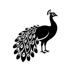 Fototapeta premium Peacock Silhouette Icon – Black Vector Bird with Decorative Feather Fan and Teardrop Eye Patterns