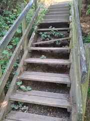 old wooden steps