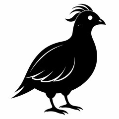 Modern Quail Silhouette Artwork