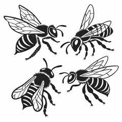 set of bee