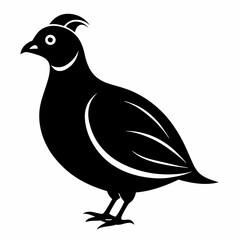 Modern Quail Silhouette Artwork