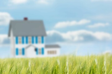 Flat design showing tall green grass in foreground with blue-shuttered house and clouds in blue sky